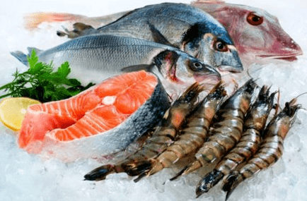 Fisk og skaldyr