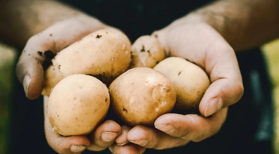 Kartofler har en positiv effekt på mænds helbred
