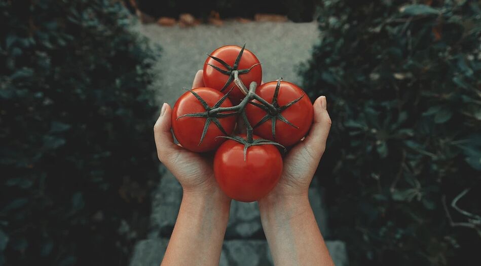 Tomater reducerer risikoen for prostatakræft